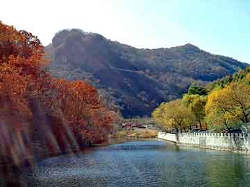 澳彩资料免费长期公开，退浆酶